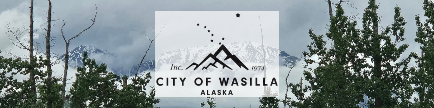 A snowy mountain with trees on either side